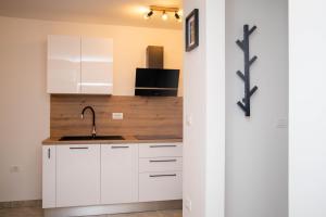 Kuchyň nebo kuchyňský kout v ubytování Apartment Fioretti