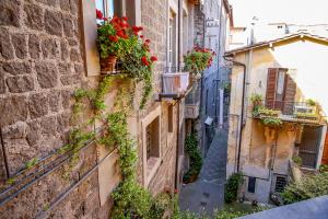 Une allée avec des fleurs sur le côté d'un bâtiment dans l'établissement BIANCAROSA, à Viterbe