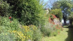 Φωτογραφία από το άλμπουμ του Gite de says σε Champagné-Saint-Hilaire