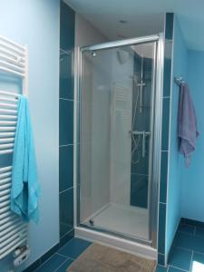 a bathroom with a shower with a glass door at Gîte de says in Champagné-Saint-Hilaire +8 photos