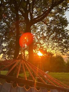 un tramonto in un parco con un albero di Goldberg - Apartman Lana a Popovac