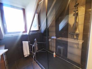 a bathroom with a shower and a sink at Maison Aulon (Saint Lary) in Aulon
