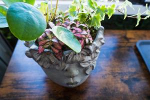 Zdjęcie z galerii obiektu Casa Zoe - Apartamentos en Suite Budha - Buenas vibras! Edificio #LasNaciones w mieście Benalmádena