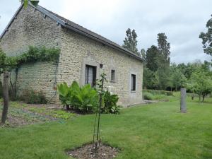 a small tree in front of a brick building at R-d-t in Martaizé +6 photos