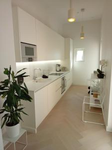 a kitchen with white cabinets and a potted plant at Citylux Verdandi in Turku