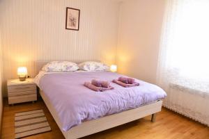 Postel nebo postele na pokoji v ubytování Apartment Panorama