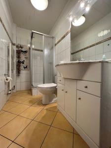 een badkamer met een toilet, een wastafel en een douche bij Käptns Koje in Wyk auf Föhr
