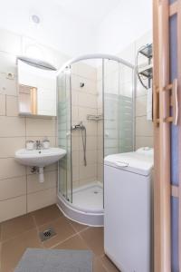 a bathroom with a shower and a sink and a toilet at Danube Apartment in Budapest