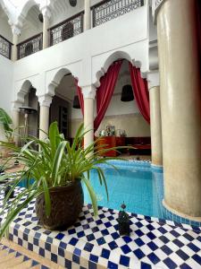 une plante en pot assise sur une table à côté d'une piscine dans l'établissement Riad Elias & Spa, à Marrakech