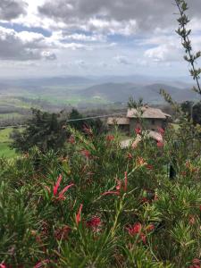 uma vista para uma colina com flores e uma casa em Case vacanze Villini panoramici sul Lago Trasimeno em Castel Rigone