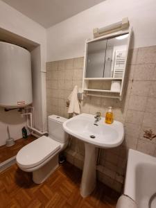 ein Badezimmer mit einem weißen WC und einem Waschbecken in der Unterkunft Appartement paisible T1 de 38m2, Nantua in Nantua