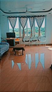 a living room with a cow statue in the middle of a room at Feel Like Home in Visakhapatnam