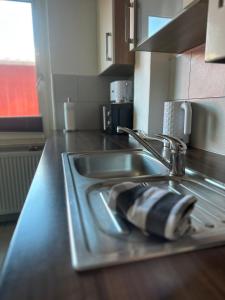 um balcão de cozinha com um lavatório e uma torneira em Green Park Apartment em Bremerhaven