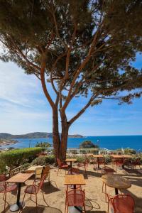eine Gruppe von Tischen und Stühlen und ein Baum in der Unterkunft Le Saint Erasme, Hotel Eco Friendly in Calvi
