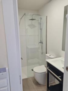 La salle de bains blanche est pourvue d'une douche et de toilettes. dans l'établissement HOSTAL LA ESTACION TERRAZAS, à Madrid