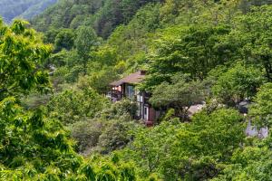 a house in the middle of a hill with trees at Dasanbang Pension in Yangyang