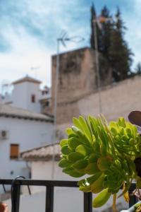 Fotografia z galérie ubytovania Casa en el Albaicin alto- 5 min Mirador San Nicolas v destinácii Granada