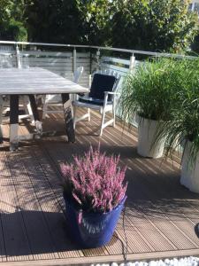 Zahrada ubytování Playa Baltis Apartamenty Club di Mare