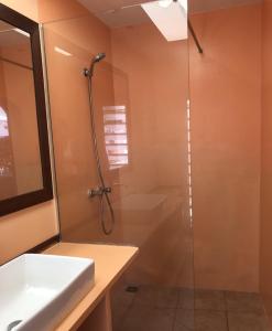 uma casa de banho com uma cabina de duche em vidro e um lavatório. em The Hideway em Noumea