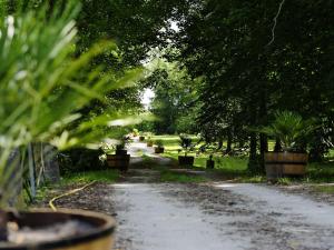 um caminho com vasos de plantas nos lados em Château de l'Isle - Chambres d'Hôtes em Castelnau-de-Médoc