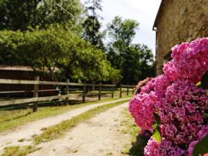 Zahrada ubytování Château de l'Isle - Chambres d'Hôtes