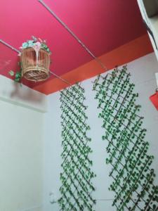 Birdnest Guesthouse, Gaia Rooftop Cafe في كوالالمبور: غرفة بها مجموعة من النباتات الخضراء على الحائط