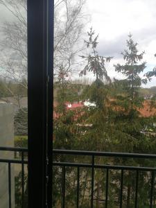 a view of a christmas tree from a balcony at TEREC HAUS in Bruckneudorf