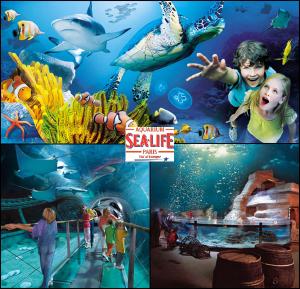 Fotografia z galérie ubytovania Résidence du Lac-Disneyland Paris-TARIF FAMILIAL v destinácii Émerainville