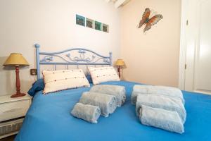 Una cama azul con cuatro almohadas. en La Casa del Señor Perez, en Bustarviejo