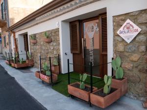 un grupo de plantas sentadas fuera de un edificio en Sicilia Bedda - B&B - Rooms - Apartments, en Santo Stefano di Camastra