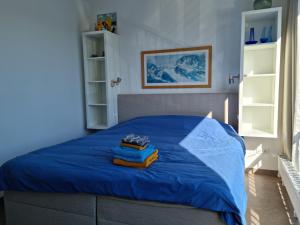 Un dormitorio con una cama azul con dos libros. en De alve marren, en Langweer