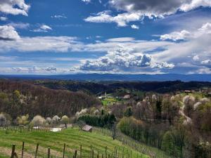 a view of a vineyard on a hill with a fence at Hiška oddiha - Rest house in Sromlje +12 photos