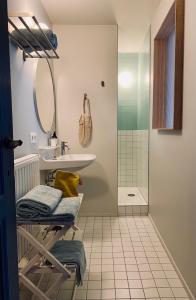 a bathroom with a sink and a shower at Maison Henri Namur in Namur