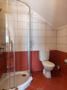 a bathroom with a toilet and a shower at Plitvice Lower Lakes Rooms in Plitvička Jezera