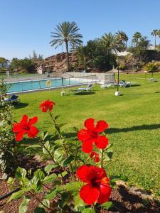 Bazén v ubytování Casa panorama 314 San Agustín Maspalomas nebo v jeho okolí