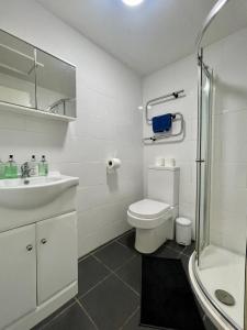 uma casa de banho com um WC, um lavatório e um chuveiro em Stylish Modern Apartment For Up To 4 Nr CityCentre em Cardiff