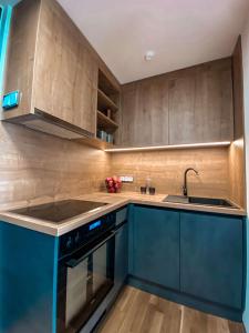 a kitchen with blue cabinets and a sink at Sonnenhof Apartments in Kressbronn am Bodensee