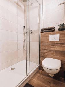 a bathroom with a shower and a toilet at Sonnenhof Apartments in Kressbronn am Bodensee