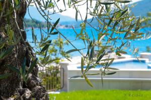 a tree with flowers in front of a pool at Boutique Hotel Kredo in Herceg-Novi
