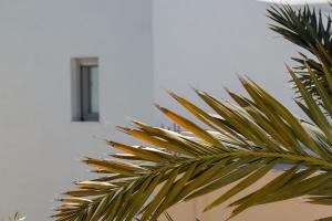 Fotografie z fotogalerie ubytování Cozy Cave Studio v destinaci Emporio