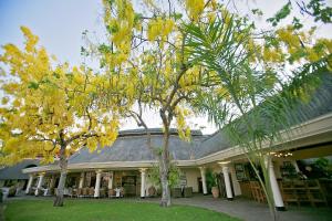 Gallery image of Ilala Lodge Hotel in Victoria Falls +66 photos