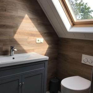 a bathroom with a toilet and a sink and a window at Ballumerhoeve t Pandje in Ballum