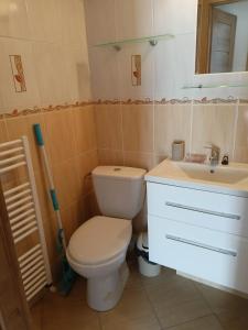 Ένα μπάνιο στο Apartmán Zlatá rybka +30 φωτογραφίες