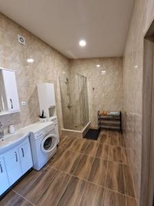 a bathroom with a washing machine and a shower at Alvydo apartamentai in Kaunas