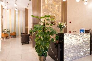 a lobby with a potted plant in front of a counter at La Flora House Hotel in Kocaeli