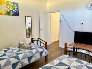 1 dormitorio con 1 cama, TV y mesa en Cootamundra Caravan Park, en Cootamundra