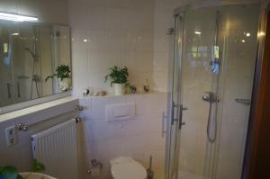 uma casa de banho com uma cabina de duche em vidro e um WC. em Ferienwohnung Friedrichswalde em Bahretal