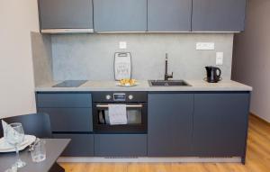 Nhà bếp/bếp nhỏ tại Apartmány Viviena