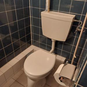 Koupelna v ubytování Ferienwohnung Pirkl