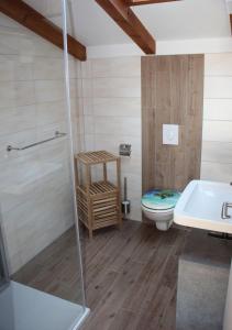 a bathroom with a shower and a toilet at Oberdeck in Dierhagen